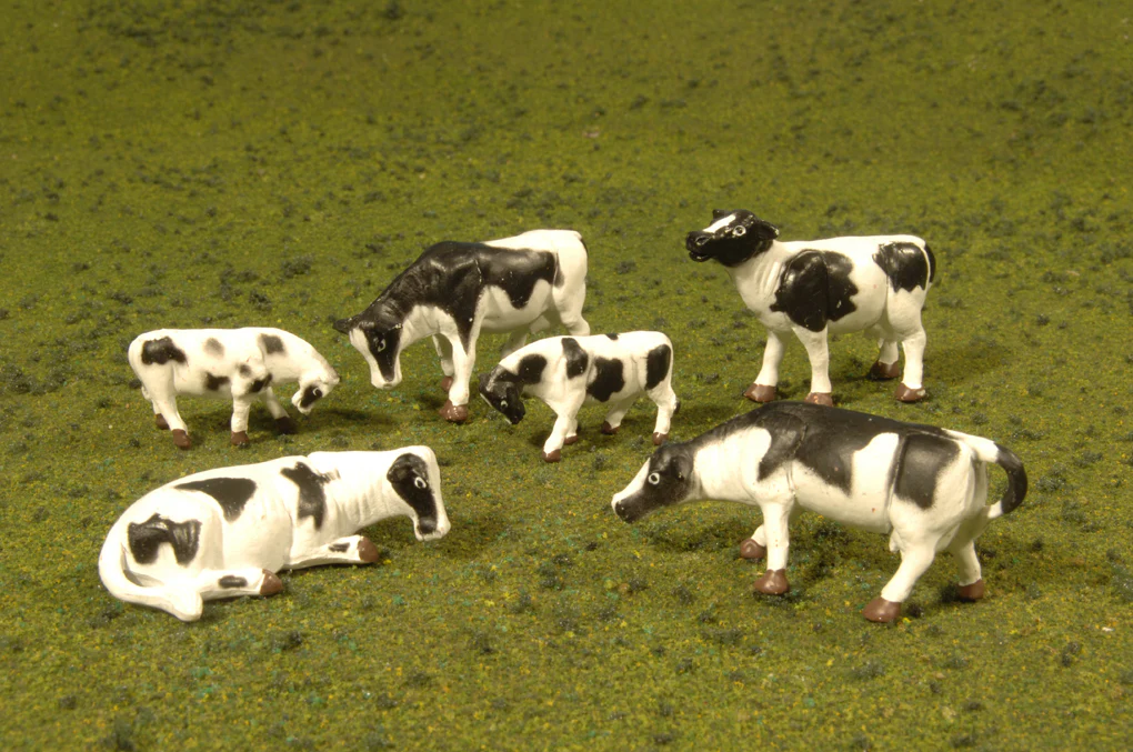 33153 Cows - Black & White (6/Pack)