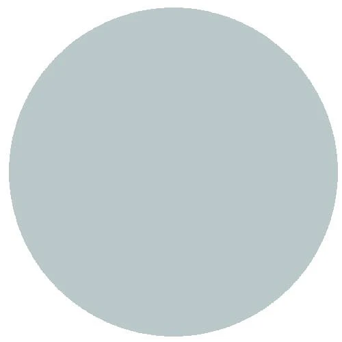 2313 Coach Roof Light Grey (18ml acrylic)