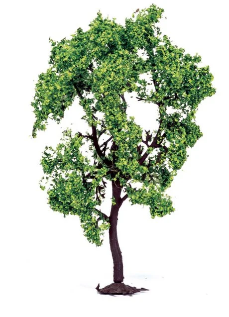 R7214 Pear Tree
