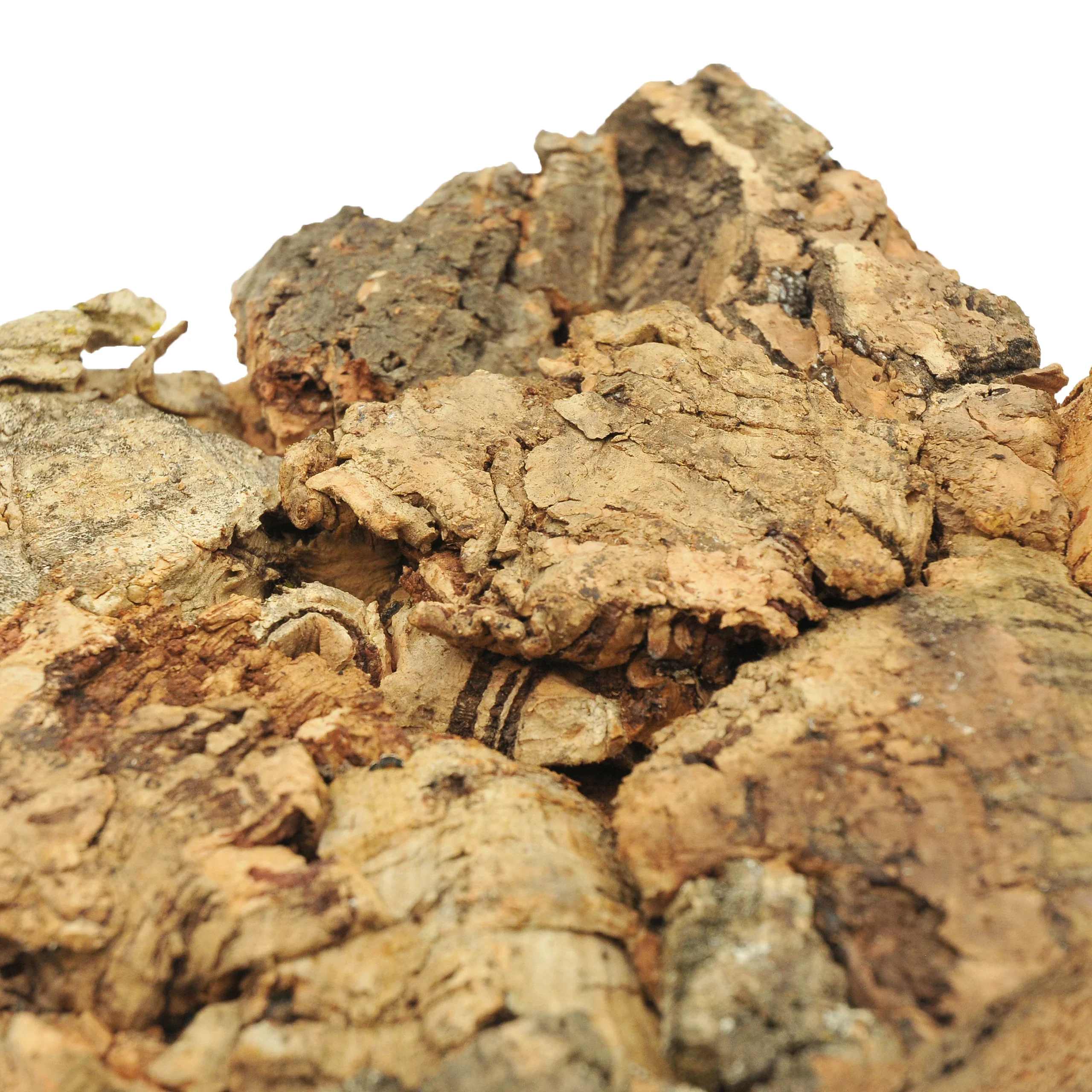 SPD-2009 Large Cork Bark - 100mm x 100mm - 20mm Thick - Image 5