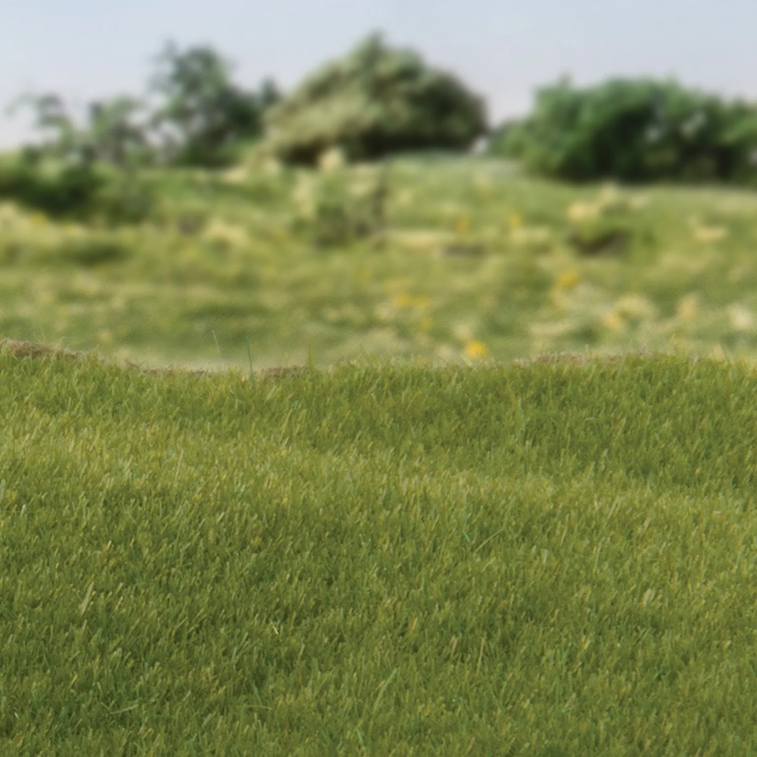WFS613 FS613 2mm Static Grass Dark Green - Image 2