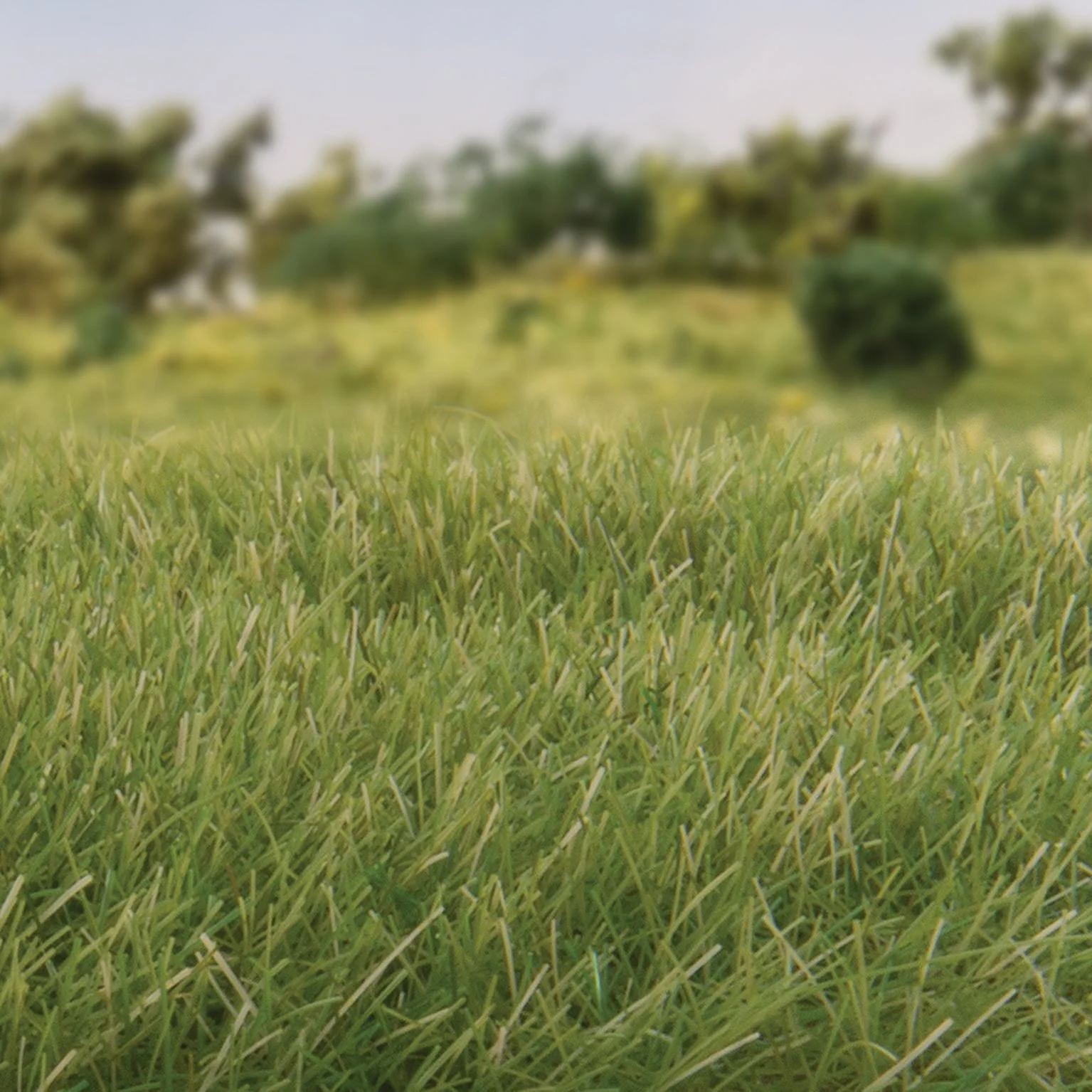 WFS622 FS622 7mm Static Grass Medium Green - Image 2