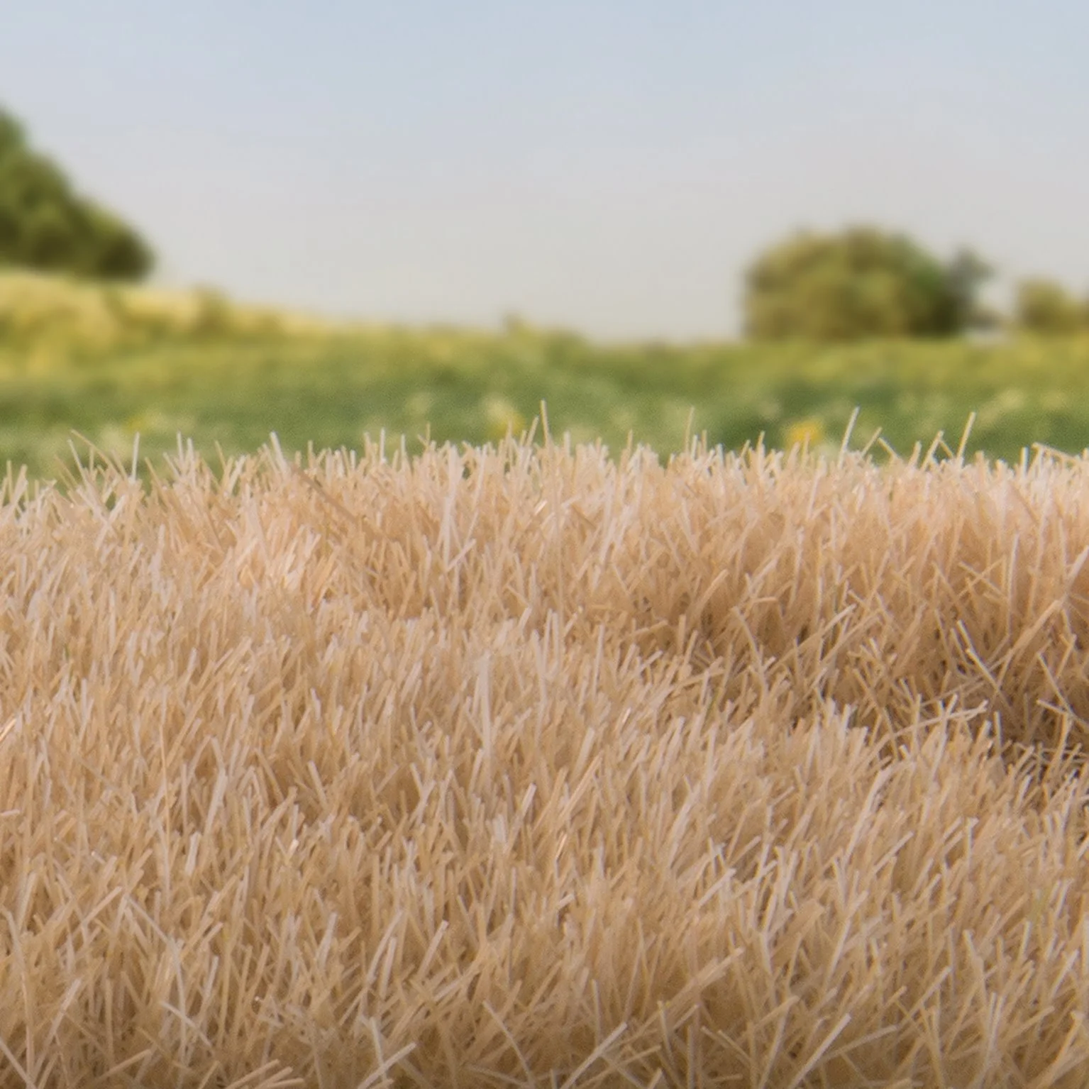 WFS624 FS624 7mm Static Grass Straw - Image 2