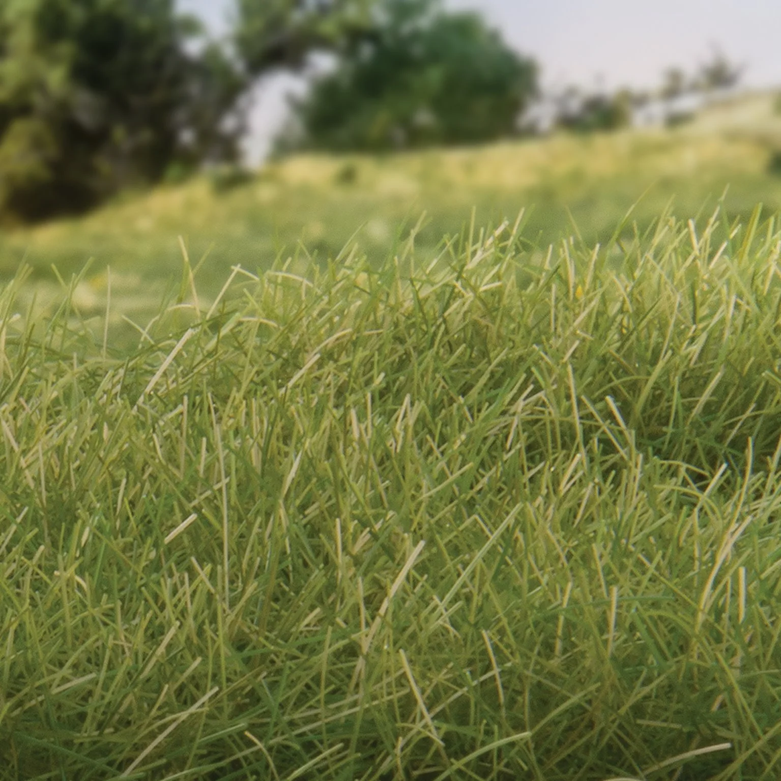 WFS626 FS626 12mm Static Grass Medium Green - Image 2