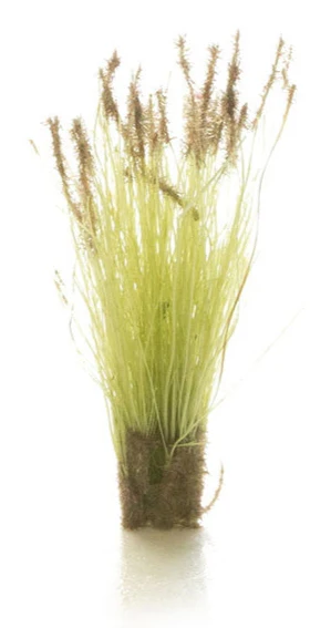 WG6633 All Game Terrain - Cattails Tufts