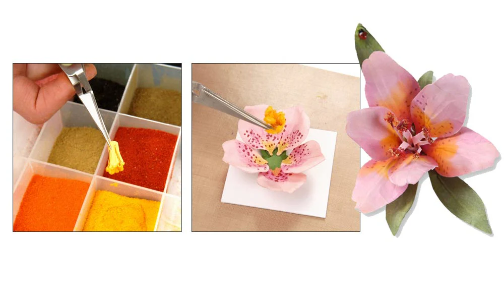 WT4646 T4646 Pollen - Orange - Image 3