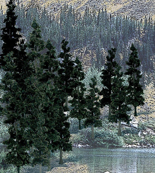 WTR1581 TR1581 Pine Trees 4 - 6 inch (Pack of 24)