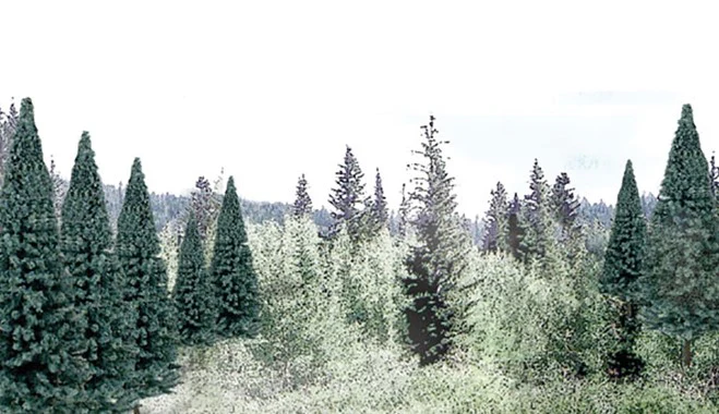 WTR1587 TR1587 Blue Spruce Trees 2 - 4 inch (Pack of 18)